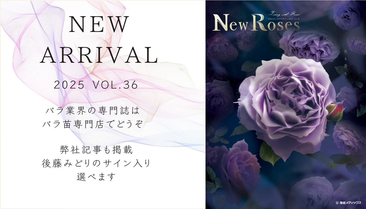 New Roses